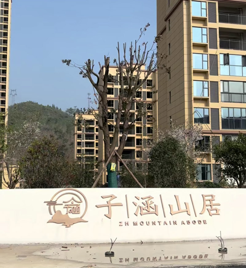 实景图