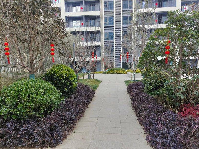 实景图