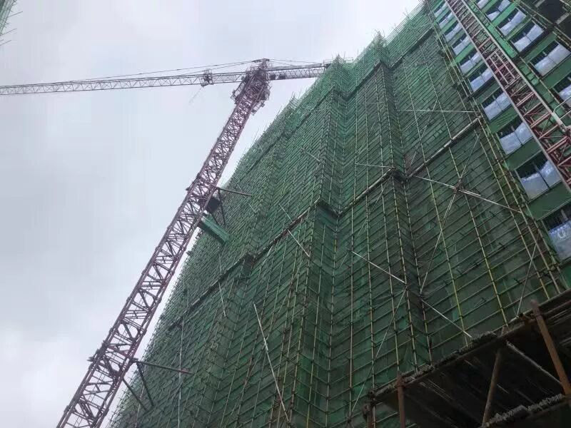 实景图