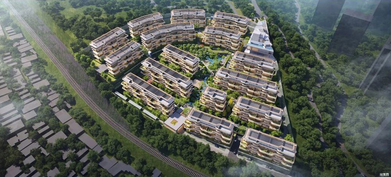 实景图