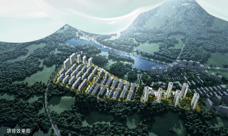 实景图