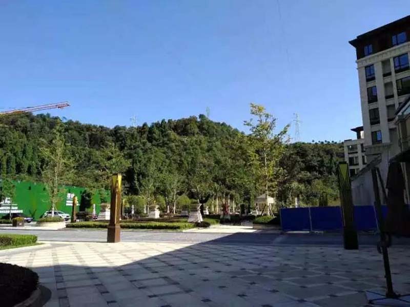 样板间