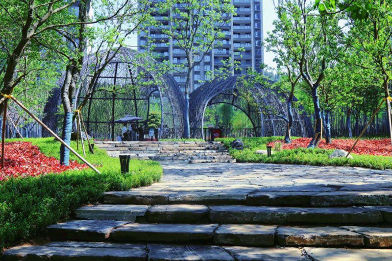 实景图